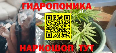 ПСИЛОЦИБИНОВЫЕ ГРИБЫ Берёзовский