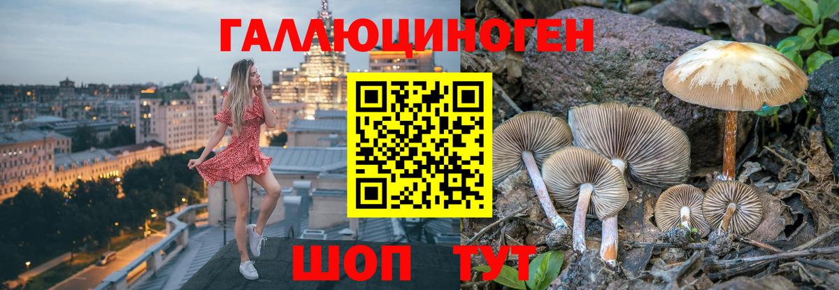 Гусиноозёрск  Галлюциногенные грибы мухоморы  Вход с VPN  Псилоцибиновые грибы Psilocybine cubensis 