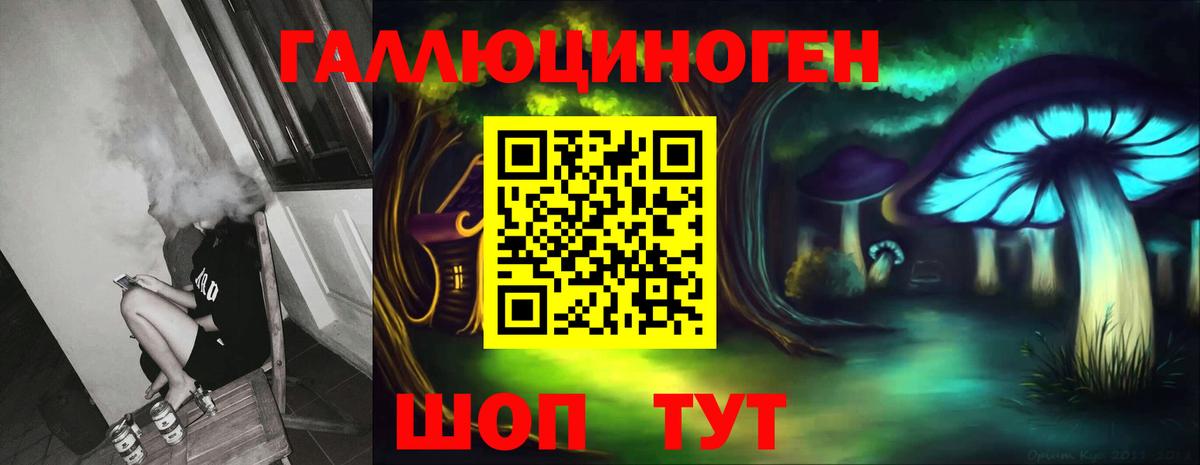 Галлюциногенные грибы мухоморы Гусиноозёрск